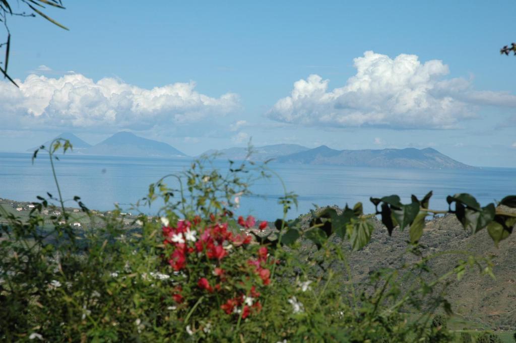 Villa Rica Patti Dış mekan fotoğraf