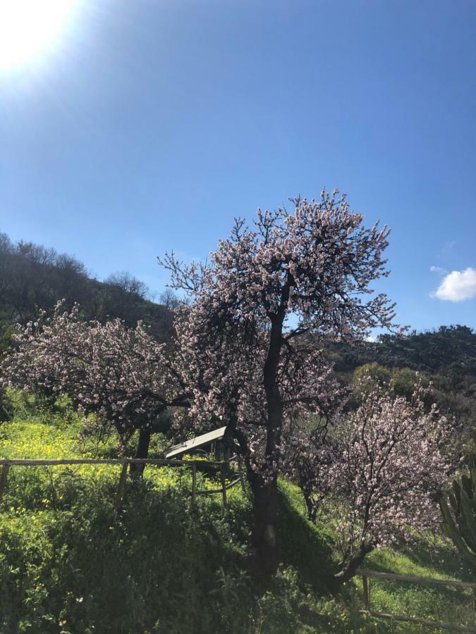 Villa Rica Patti Dış mekan fotoğraf